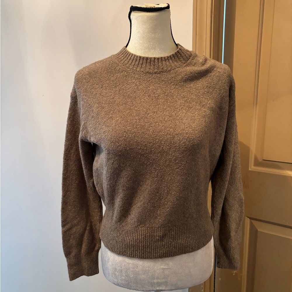 Brown Everlane Sweater (size XS)